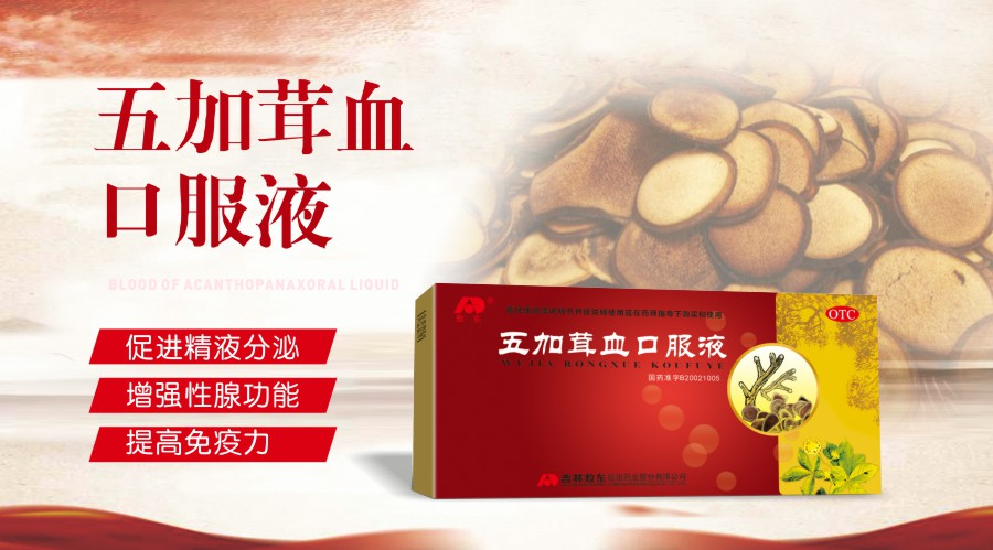 五加茸血口服液